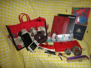 Contents of my Bag Organiser