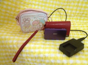 Little Twin Stars Pouch