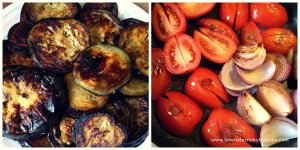 Tomatoes and Eggplants