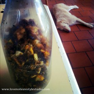 Issy's Fruit Tea - even the puppy wants some...